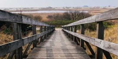 Image for Mumbai Civic Action Group